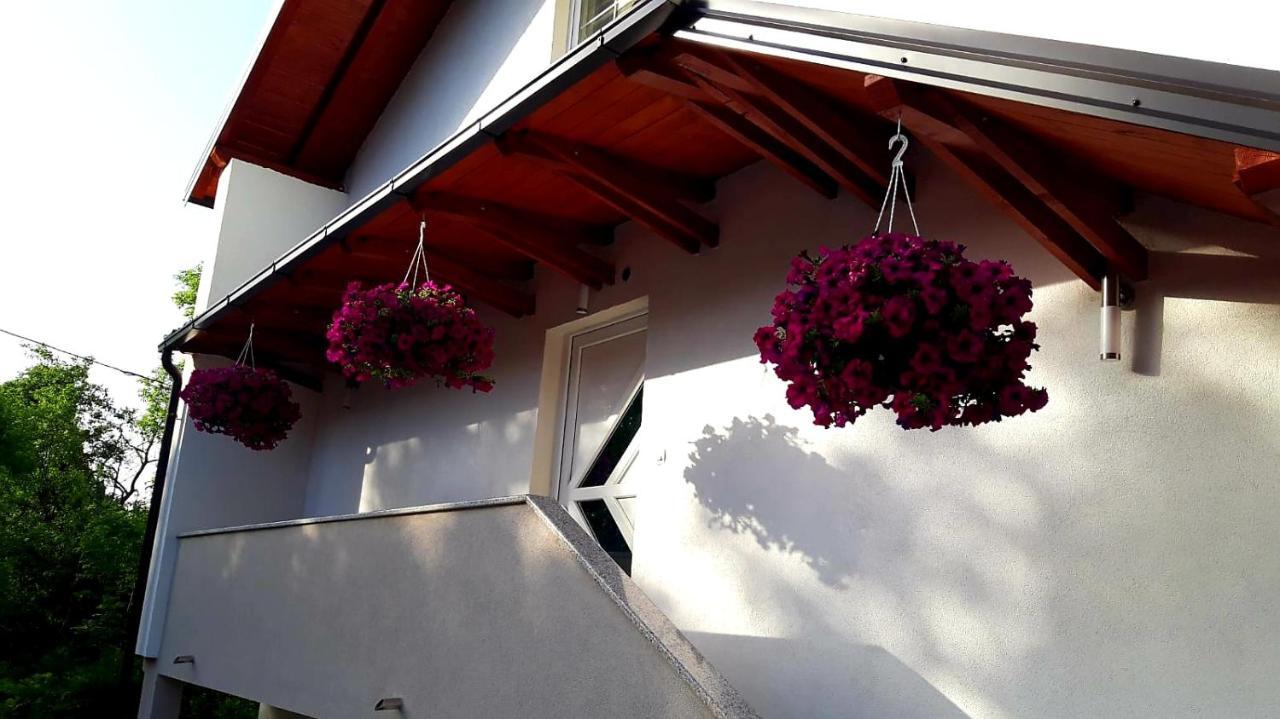Apartmani Bilic Korenica Exterior foto